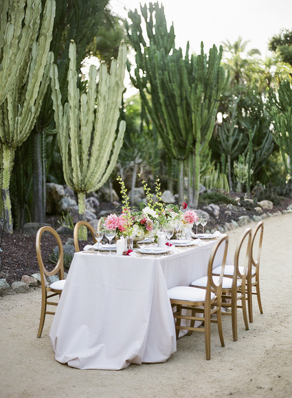 Spring table styling in a cactus garden