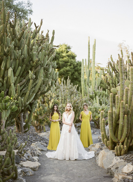 Elegant spring wedding ideas in a cactus garden