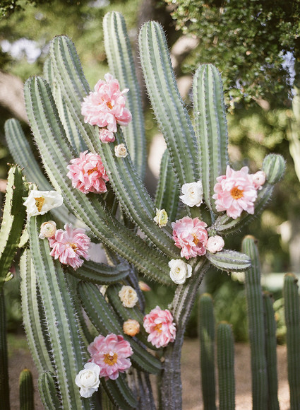 Peonies and cactus in a spring wedding