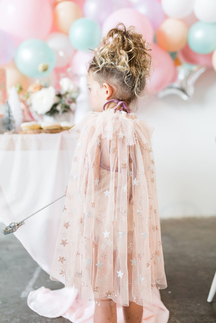 Magical sugar plum fairy party