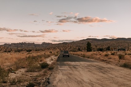 Joshua Tree sunset