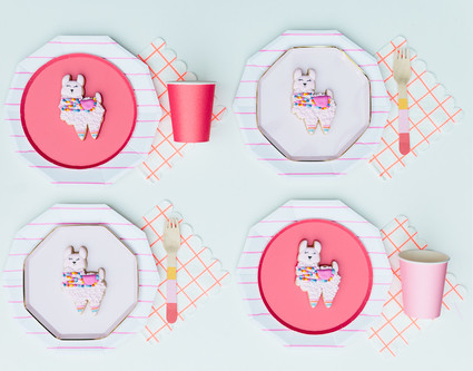Festive all pink llama party inspiration Inspiration
