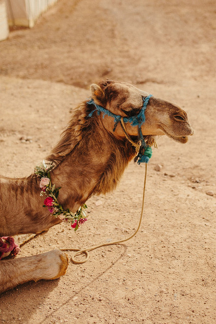 The ultimate in laid back desert chic is this stylish wedding in the Agfay desert outside of Marrakesh