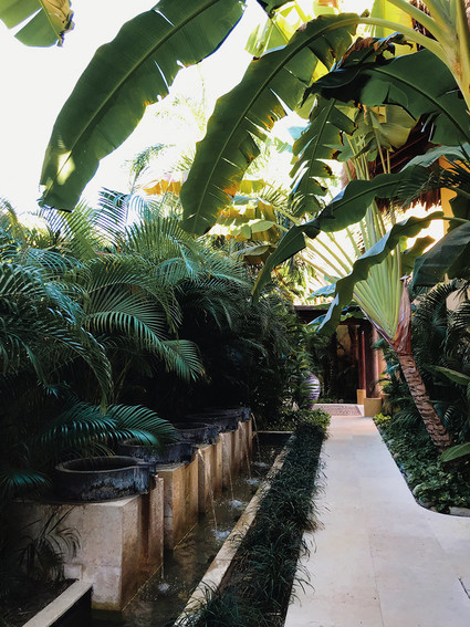 Girl's trip to Cala De Mar in Ixtapa, Mexico