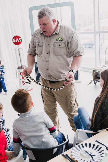 Australian outback first birthday party