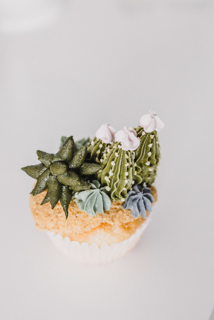 succulent cupcakes Inspiration