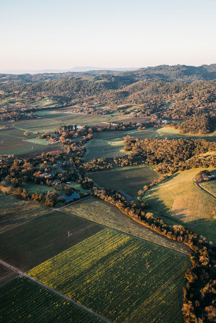 Napa Valley Inspiration