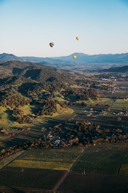 Napa Valley Hot Air Balloon ride Inspiration