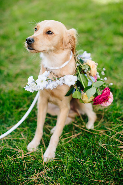 meticulously designed and detailed San Luis Obispo vineyard wedding at Greengate Ranch