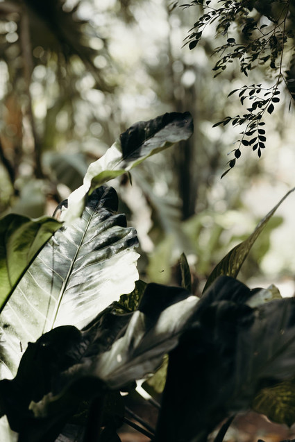 Mexico wedding at Coqui Coqui Inspiration