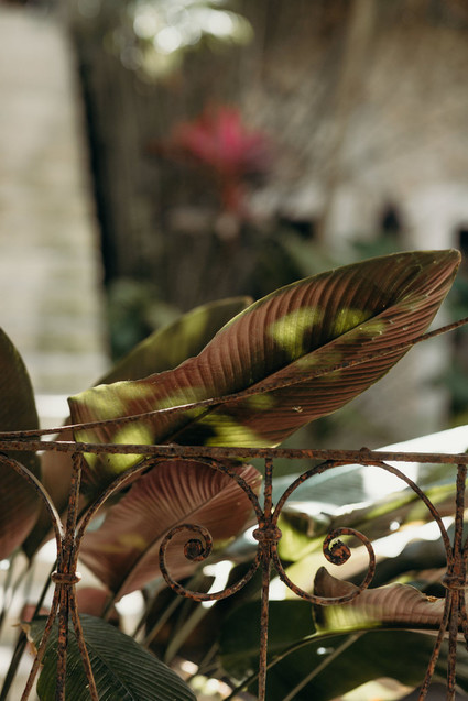 Mexico wedding at Coqui Coqui Inspiration