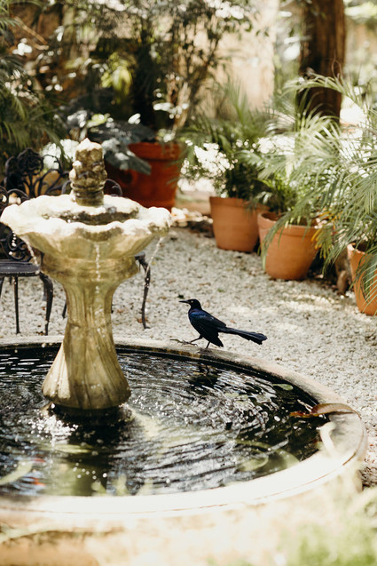 Mexico wedding at Coqui Coqui Inspiration
