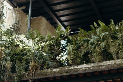 Mexico wedding at Coqui Coqui Inspiration