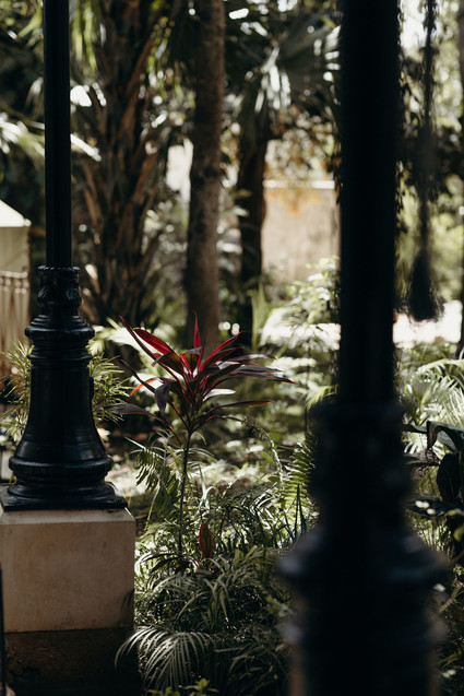 Mexico wedding at Coqui Coqui Inspiration