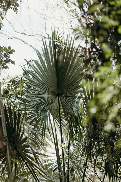 Mexico wedding at Coqui Coqui Inspiration
