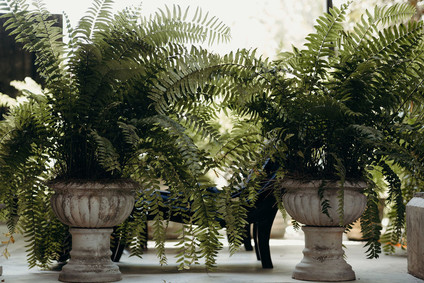 Mexico wedding at Coqui Coqui Inspiration