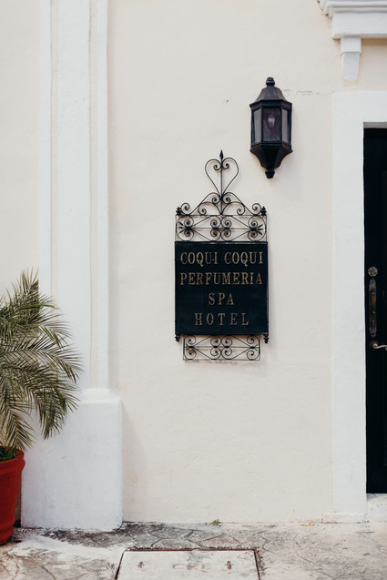 Mexico wedding at Coqui Coqui Inspiration