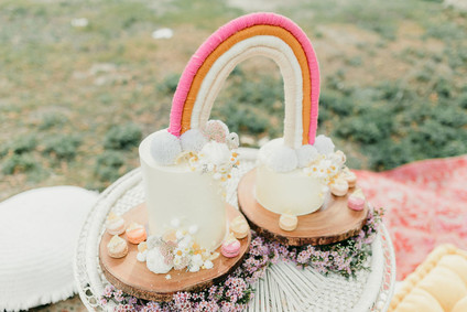 Rainbow alpaca girl's birthday party for twins