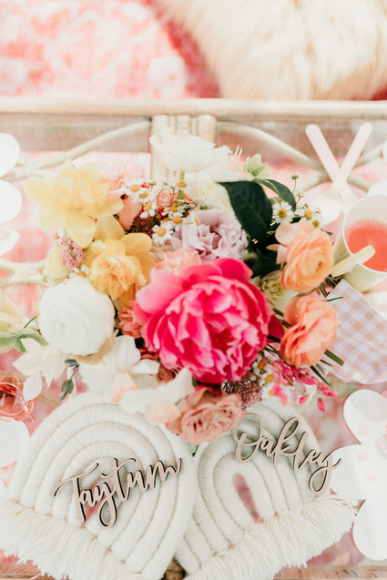 Rainbow alpaca girl's birthday party for twins