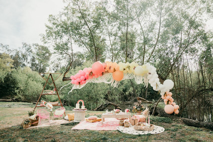 Rainbow alpaca girl's birthday party for twins