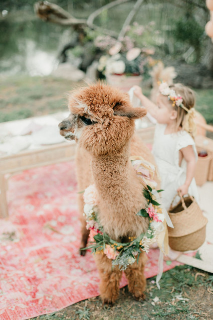 Rainbow alpaca girl's birthday party for twins