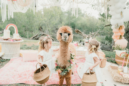 Rainbow alpaca girl's birthday party for twins