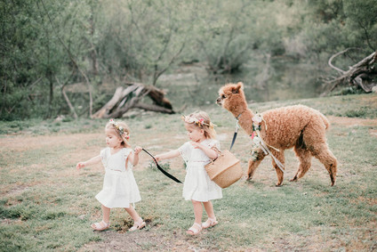 Rainbow alpaca girl's birthday party for twins