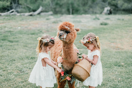 Rainbow alpaca girl's birthday party for twins