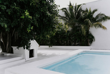 All white olive branch bridal shower with an epic grazing table