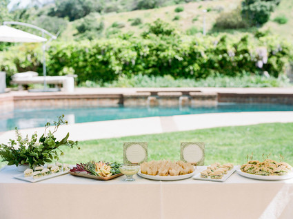 High tea backyard baby shower with baby animals