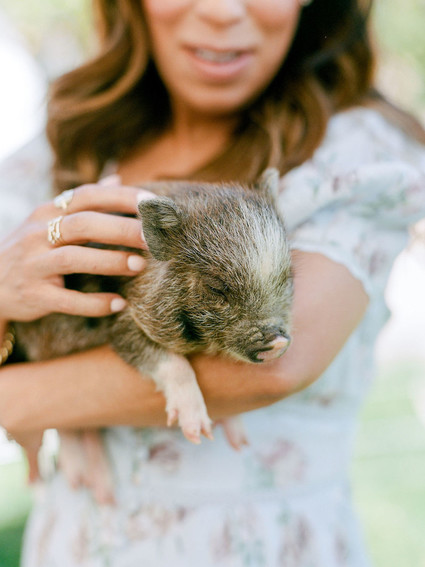 High tea backyard baby shower with baby animals