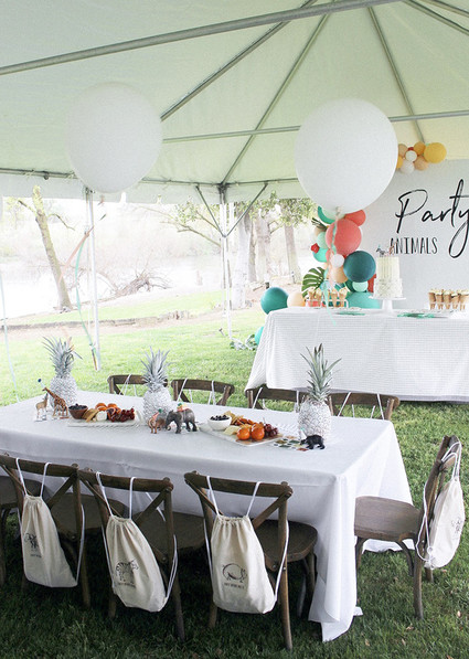 Modern Party Animal themed 2nd birthday Inspiration