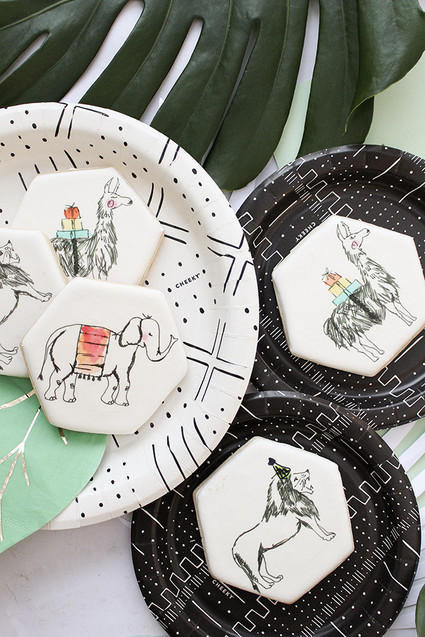 Modern Party Animal themed 2nd birthday