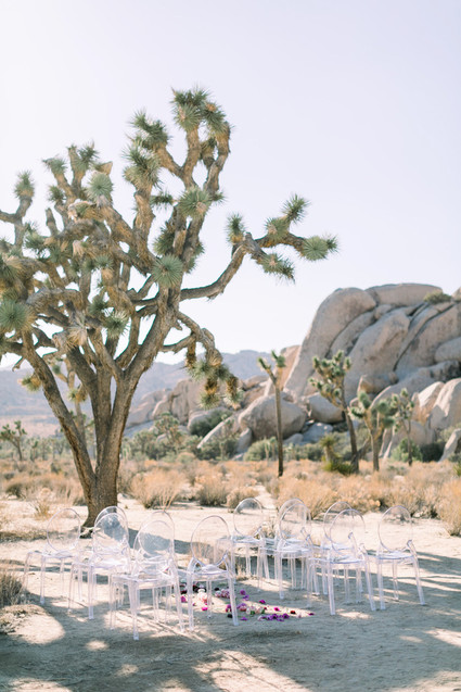 A chic, modern destination elopement at Joshua Tree National Park Inspiration