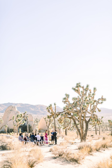 A chic, modern destination elopement at Joshua Tree National Park Inspiration