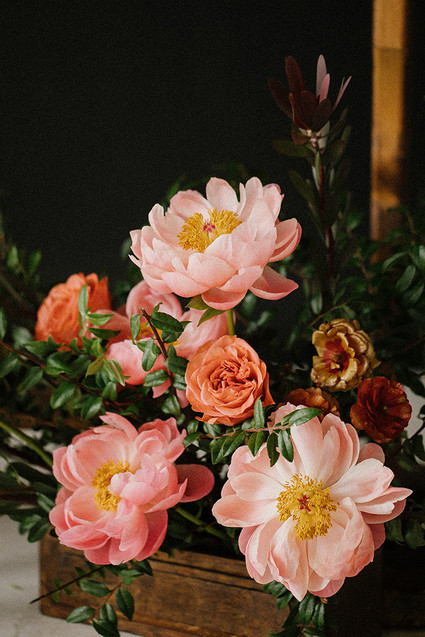 Coral charm peonies