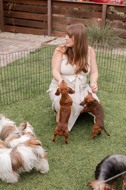 summer baby shower with dried florals