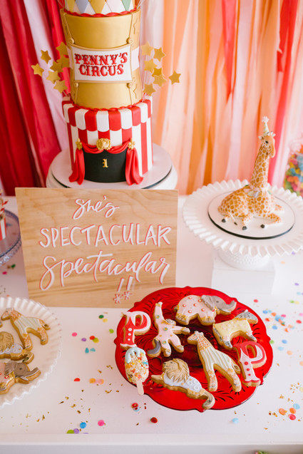 Circus themed birthday party ideas