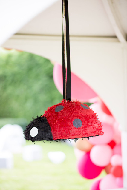 Ladybug piñata