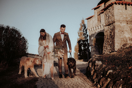 Wedding portraits with dogs