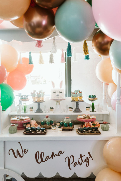 llama kids party