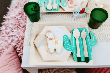 llama kids party