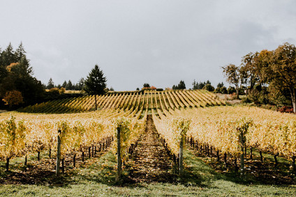 Wedding at Methven Family Vineyards