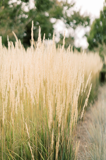 Christmas wedding inspiration