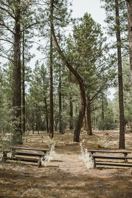 ceremony in woods
