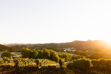 modern Greengate Ranch wedding
