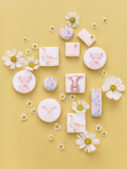 Charlotte's Web themed spring baby shower cookies