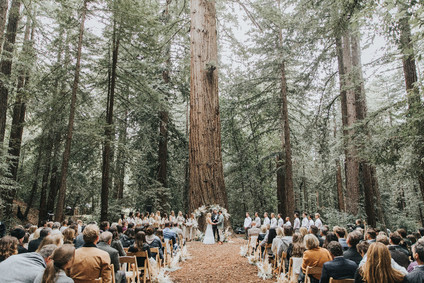 Redwood ceremony Inspiration