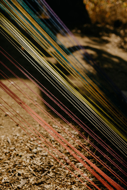 butterfly themed wedding in Carmel Valley