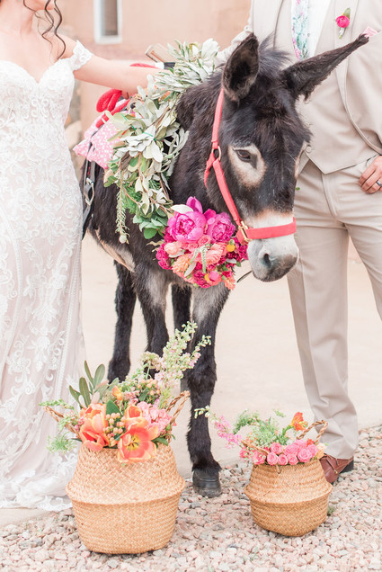 Southwestern elopement with a donkey